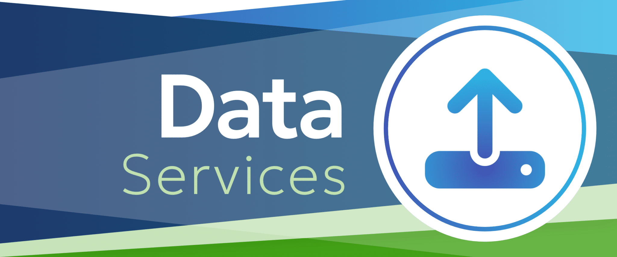Data Sevices Enhance Your Nonprofit with Data Services and AI Solutions